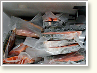 Fresh Frozen